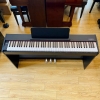 Đàn Piano Điện Acutis ADP-30