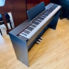 Đàn Piano Điện Acutis ADP-30