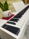 Đàn Piano Điện Acutis ADP-30