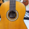 Guitar Classic Saga C1