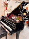 Grand Piano Diapason 183E