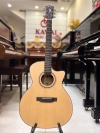 Guitar Acoustic Asolid 54CA