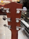 Guitar Acoustic Asolid 54CA