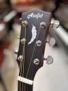 Guitar Acoustic Asolid 54CA