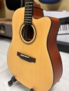 Guitar Acoustic Asolid 54CD