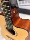 Guitar Acoustic Asolid 54CD