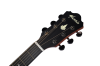 Đàn guitar Mantic MG370C