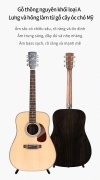 Đàn guitar Saga SF800R