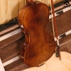 Violin Acutis AVF100