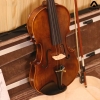 Violin Acutis AVF100