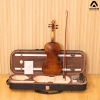 Violin Acutis AVF100