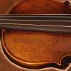 Violin Acutis AVF100