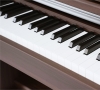 Piano điện Asahi A205WN màu nâu