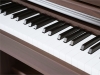 Piano điện Asahi A305WN màu nâu