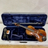 Violin Samuel Eastman Series+ VL145+
