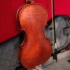 Violin Gliga GEMS I AW-V044-O