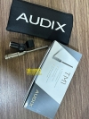 Micro Audix TM1
